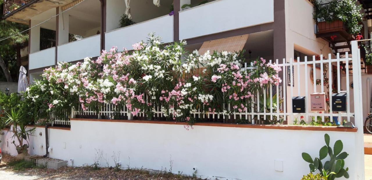 Apartamento Casa Perciata - Locazione Turistica Mondello Exterior foto
