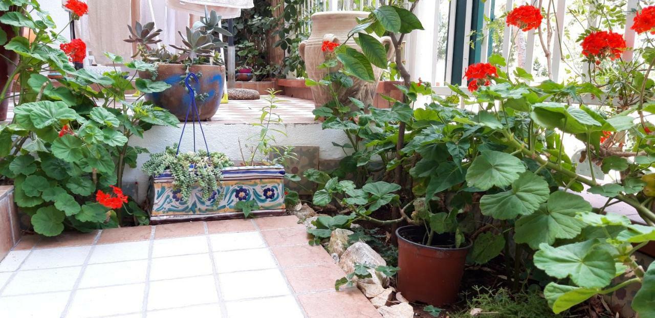 Apartamento Casa Perciata - Locazione Turistica Mondello Exterior foto
